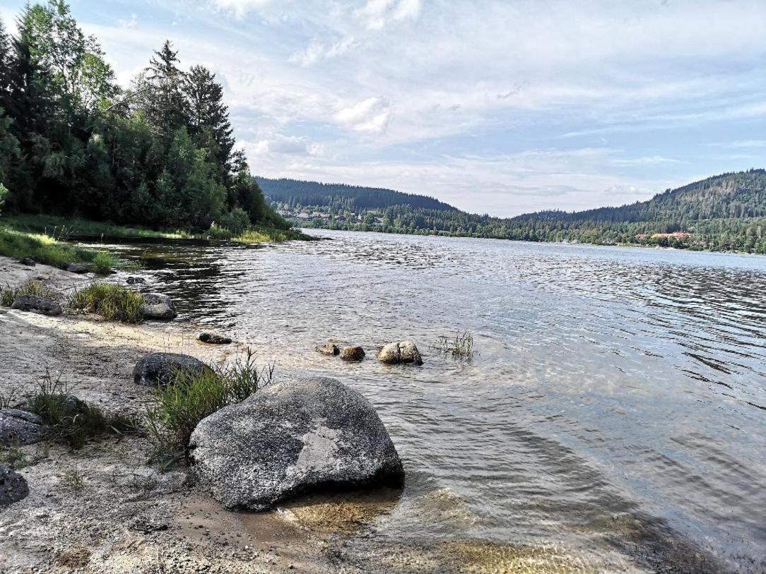 C1 Albmatte-Fewo Sauna, Hallenbad Aussenbecken Massagen Nebenan Менценшванд Экстерьер фото