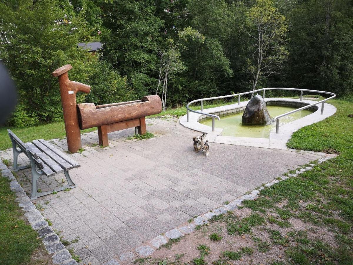 C1 Albmatte-Fewo Sauna, Hallenbad Aussenbecken Massagen Nebenan Менценшванд Экстерьер фото