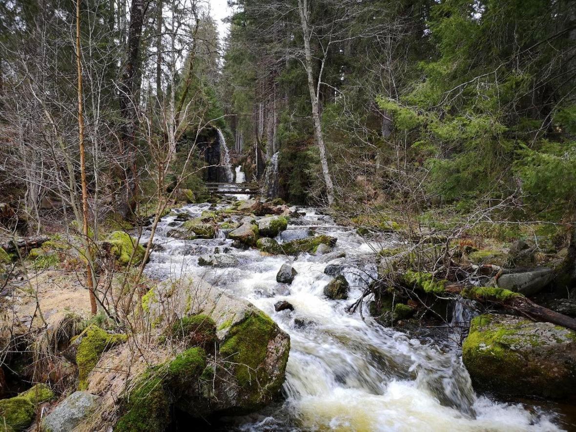 C1 Albmatte-Fewo Sauna, Hallenbad Aussenbecken Massagen Nebenan Менценшванд Экстерьер фото