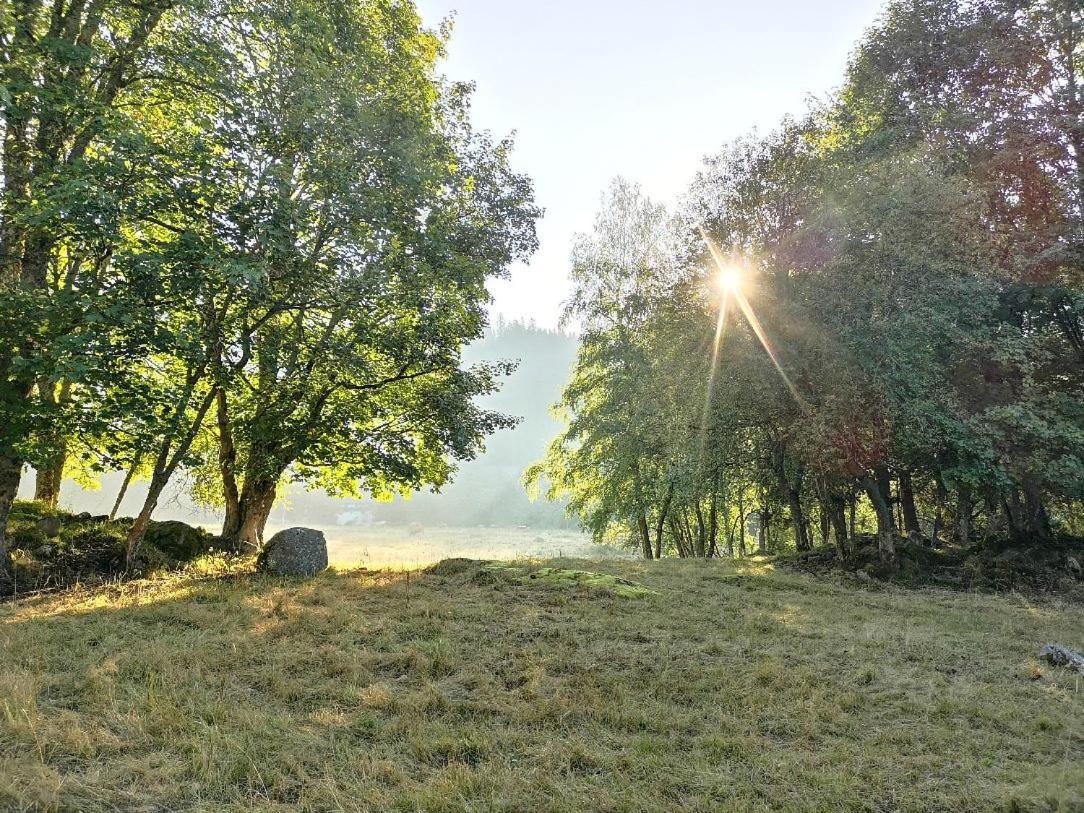 C1 Albmatte-Fewo Sauna, Hallenbad Aussenbecken Massagen Nebenan Менценшванд Экстерьер фото