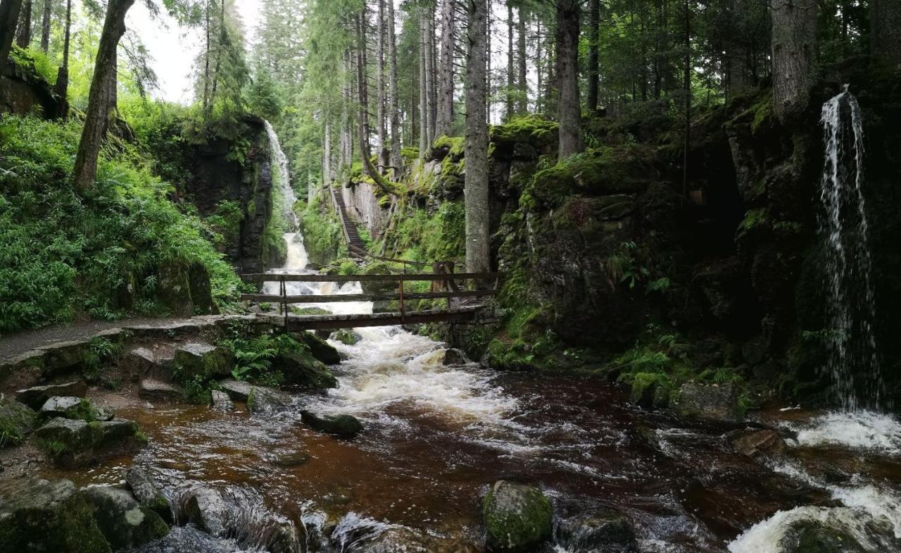 C1 Albmatte-Fewo Sauna, Hallenbad Aussenbecken Massagen Nebenan Менценшванд Экстерьер фото
