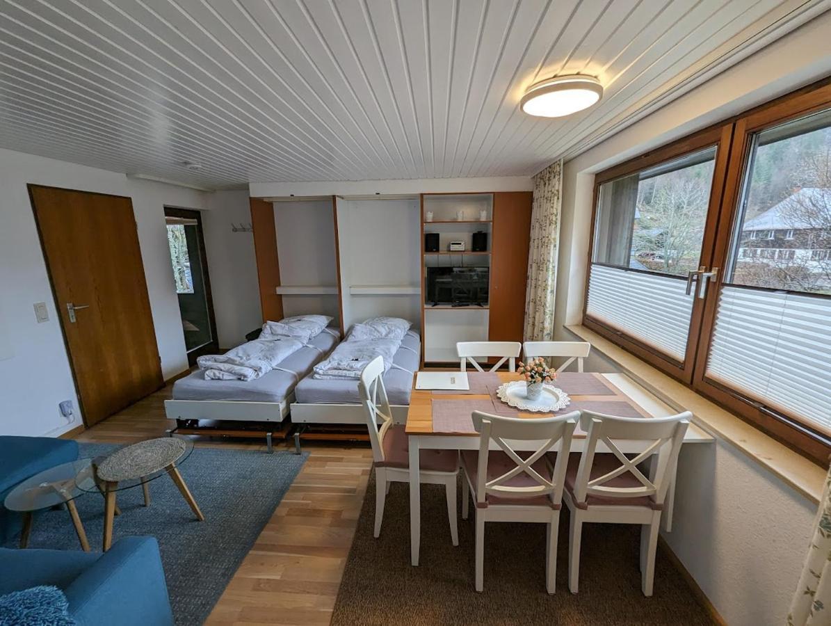 C1 Albmatte-Fewo Sauna, Hallenbad Aussenbecken Massagen Nebenan Менценшванд Экстерьер фото