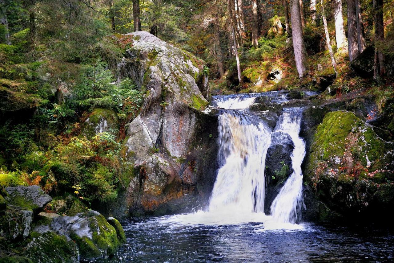 C1 Albmatte-Fewo Sauna, Hallenbad Aussenbecken Massagen Nebenan Менценшванд Экстерьер фото