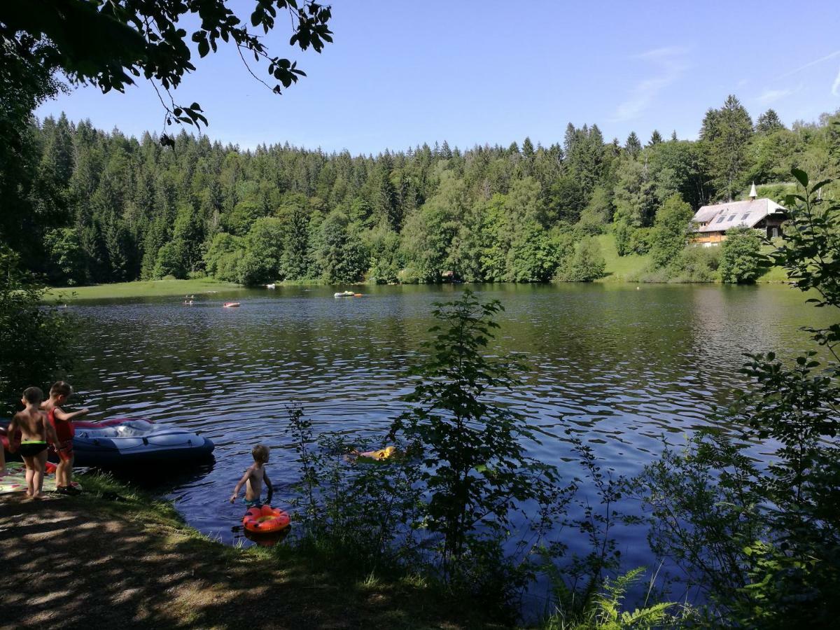 C1 Albmatte-Fewo Sauna, Hallenbad Aussenbecken Massagen Nebenan Менценшванд Экстерьер фото