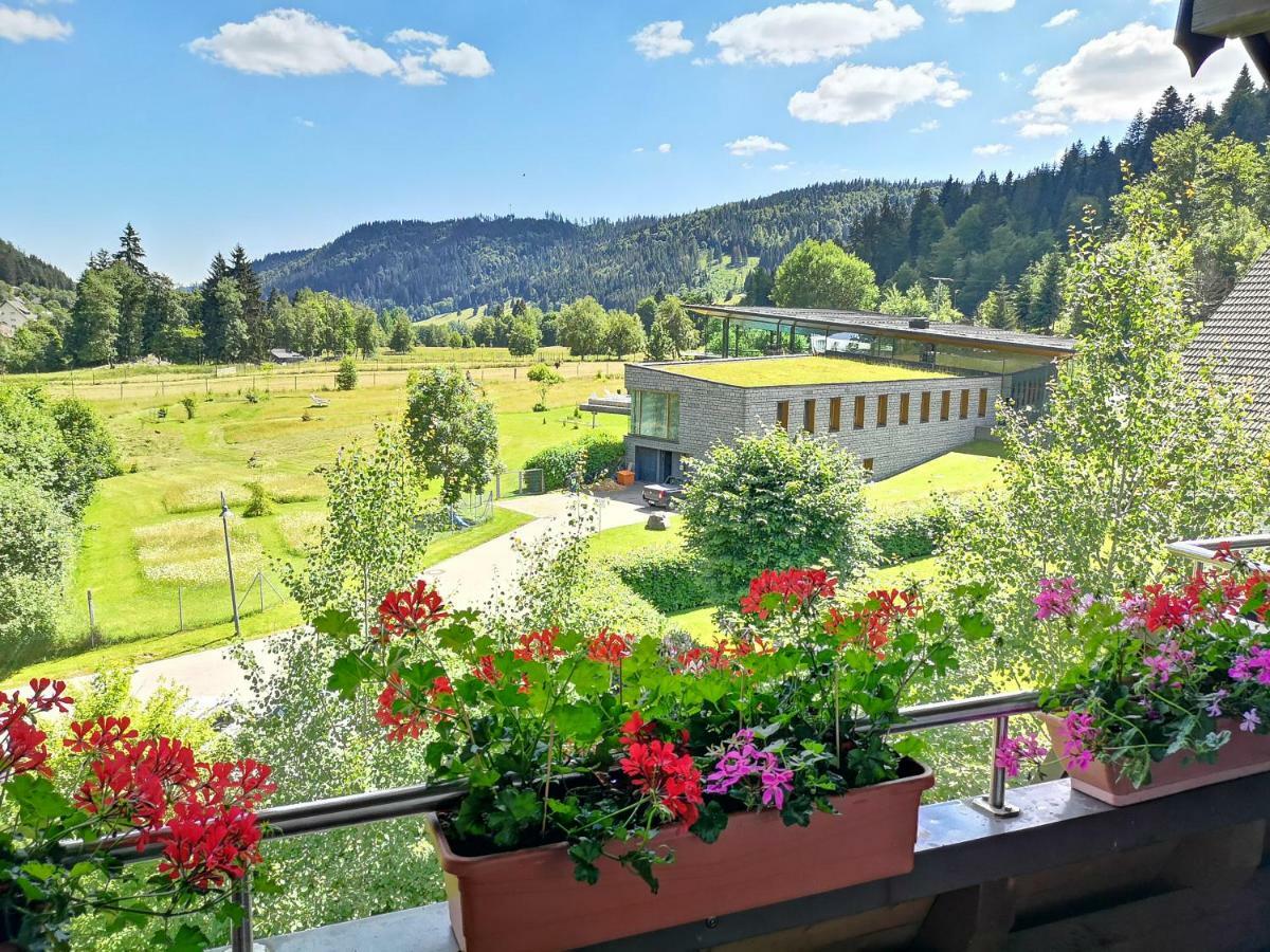 C1 Albmatte-Fewo Sauna, Hallenbad Aussenbecken Massagen Nebenan Менценшванд Экстерьер фото
